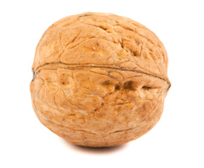 Single ripe walnut
