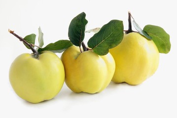 three quinces