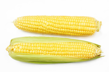 fresh corn vegetable