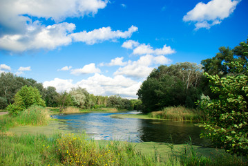 Fototapeta premium beautiful landscape