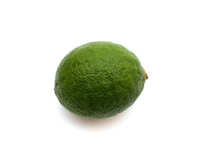 single lime on white background