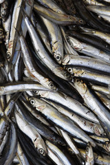 Fototapeta premium Fischmarkt