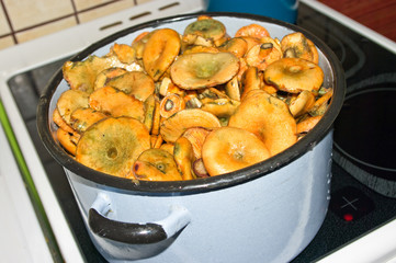 Mushroom cooking