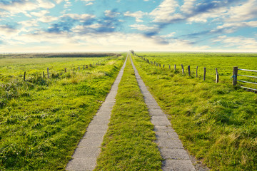 Feldweg aus Betonplatten der geradeaus bis zum Horizont führt, Friesisches Weideland an der Küste...