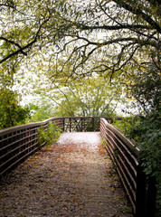 Fototapeta premium Walking Bridge In Autumn