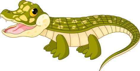 Naklejka premium Baby crocodile