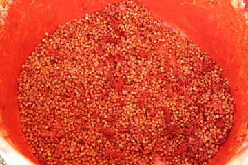 Guyane - Les Maîtres de la pagaie - 2011