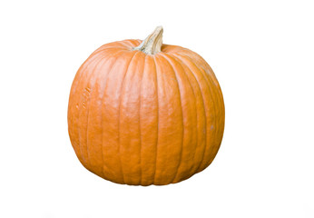 Pumpkin on white background