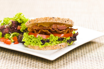 Close-up shoot of a Sandwich with rich Salad