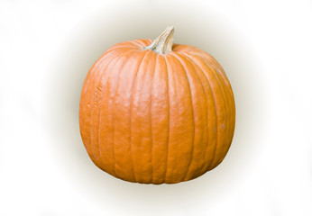 Pumpkin 3D