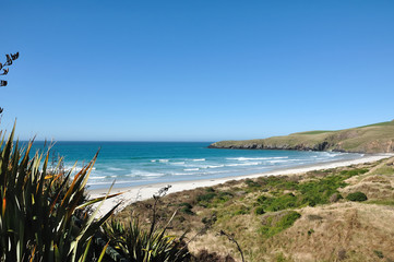 Southland coastline