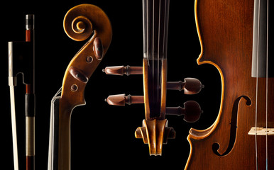 Violine
