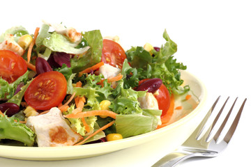 frischer Salat auf einem Teller angerichtet