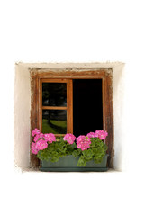 Fototapeta na wymiar Okno z geranium - białe tło