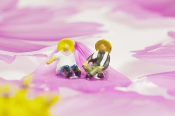 コスモスの花弁とカップル
