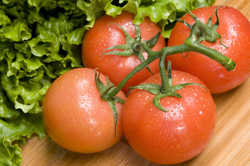 Tomato