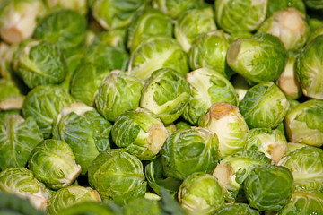Fototapeta na wymiar Brussels sprout