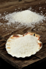 Coarse sea salt in scallop shell