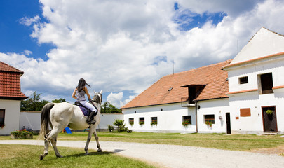 equestrian on horseback