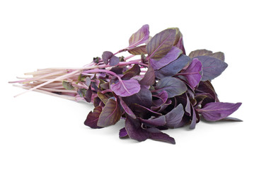 Bunch of red basil