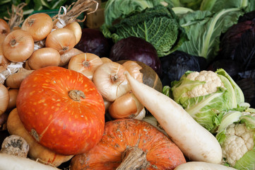Zucca, cipolle, cavoli e rapa