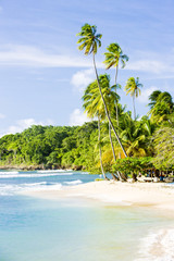 Mount Irvine Bay, Tobago