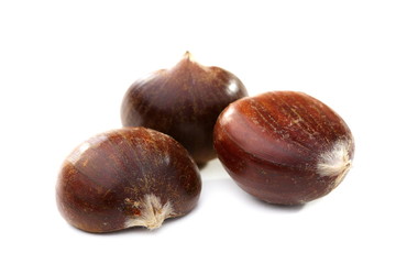 Ripe fruits are sweet chestnut.