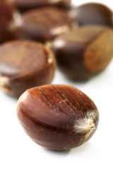 Ripe fruits are sweet chestnut