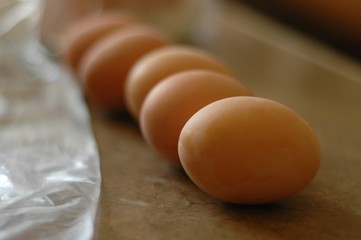Eggs © maiecka