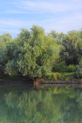 Small river a landscape