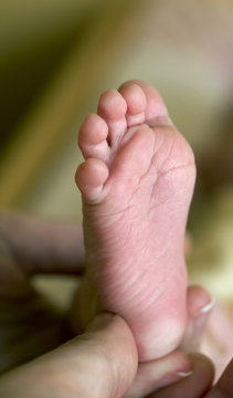 hand holding baby's foot