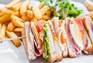 Sandwich with chicken, cheese and golden French fries potatoes