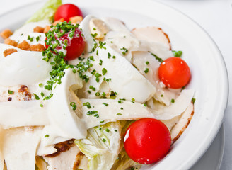 Fresh chicken salad with tomatoes