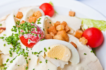 Fresh chicken salad with tomatoes