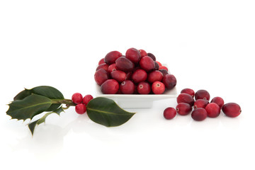 Cranberry Fruit and Holly