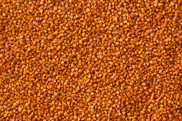 buckwheat background texture