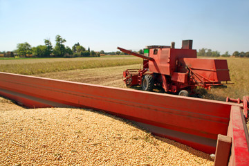 Soya harvesting