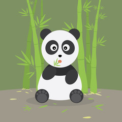 Panda Surprised In The Bamboo Forest