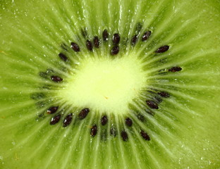 Isolated fruits - Kiwi