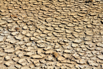 Global warming - dry desert soil