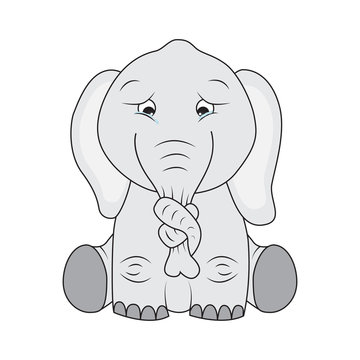 Sad elephant with knot on its nose