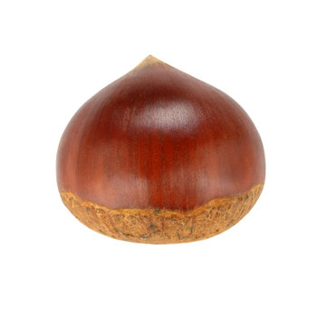 single chestnut on a white background