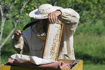 Beekeeper