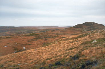 fantastic colored scottish landscape