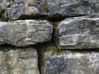 mossy stone wall detail