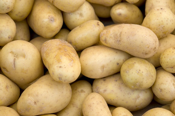 full frame potatoe background