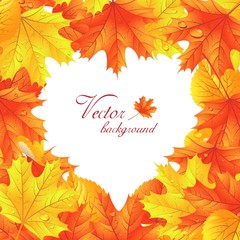 Autumn leaf background. Maple leaves  in the shape of heart