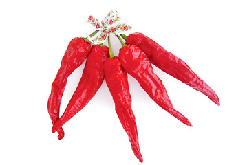 Dried Red Chilli Peppers on white background