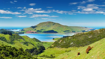 Fotobehang Uitzicht op de kust, Nieuw-Zeeland © Dmitry Pichugin