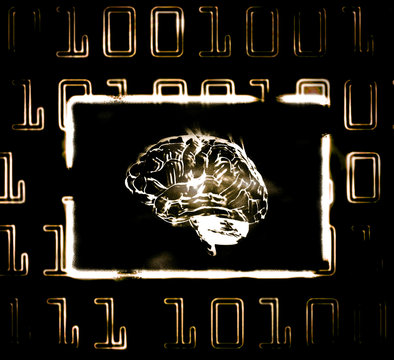 brain and binary code